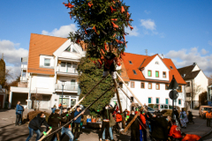 IMG_0111